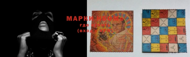 стафф Баксан