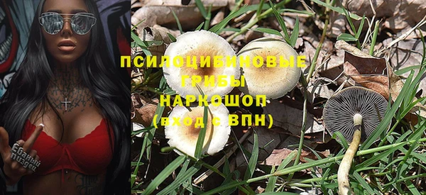 стафф Баксан