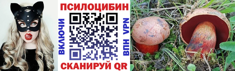Галлюциногенные грибы Psilocybine cubensis  Киров 